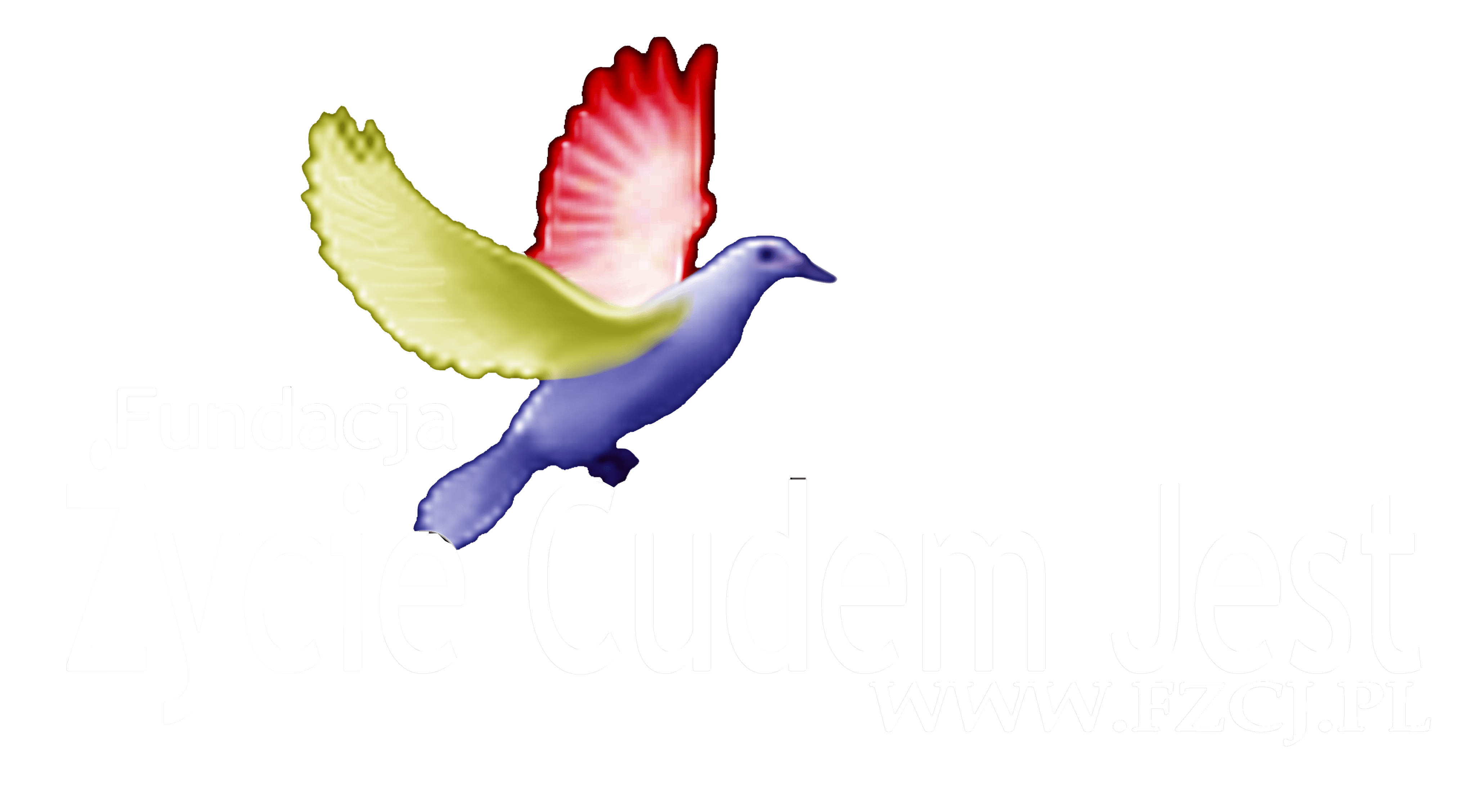 WWW.FZCJ.PL